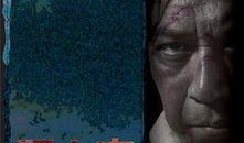 电影目击者在线观看,揭秘电影背后的真相