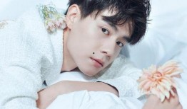 胡一天杨紫娱乐大爆料,幕后故事与精彩瞬间